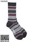 グンゼ BODYWILD 紳士ソックス 3D MADE SOCKS ボーダー柄の詳細画面へ