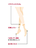 GUNZE(グンゼ)SABRINA(サブリナ)婦人ソックス丈ストッキング Natural 美しい素肌の詳細写真Ｄ