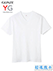 グンゼ YG 超速吸水 紳士VネックＴシャツ 本体綿100%